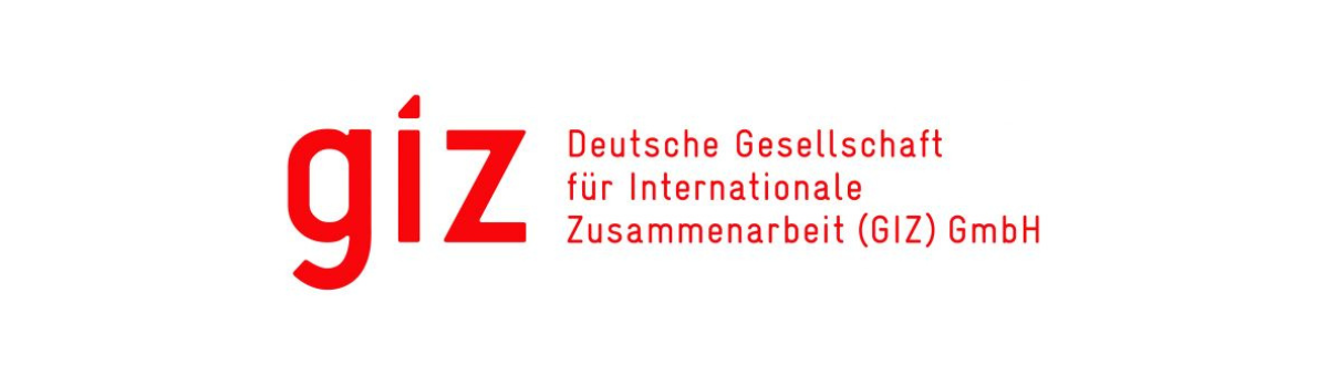 Deutsche Gesellschaft für Internationale Zusammenarbeit (GIZ)