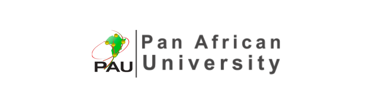  Pan African University